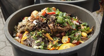 Inside NYC's Organic Waste Collection Program
