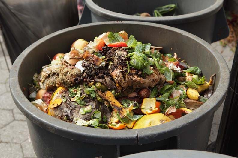 Inside NYC's Organic Waste Collection Program