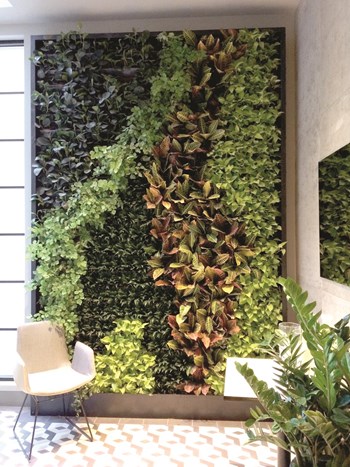 Green Walls and Other Spaces